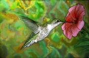 Hummingbird Magnet