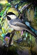 Chickadee Magnet