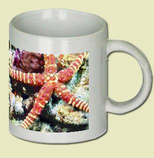 Starfish Coffee Mug