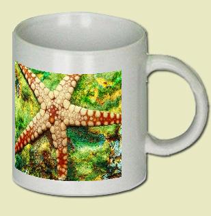 Starfish Coffee Mug