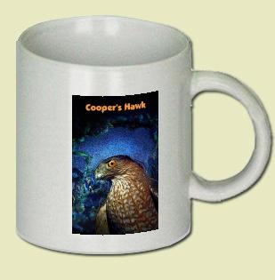 Coopers Hawk Coffee Mug