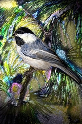 Chickadee