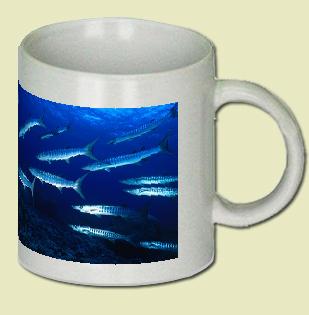 Barracuda Coffee Mug