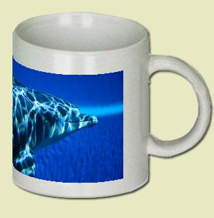 Dolphin Coffee Mug