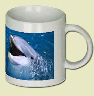 Dolphin Coffee Mug