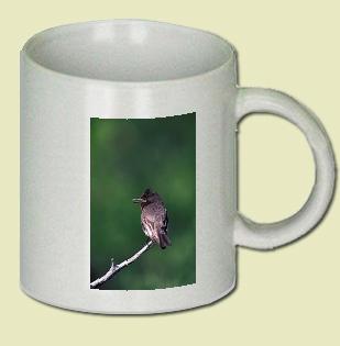 Flycatcher Coffee Mug