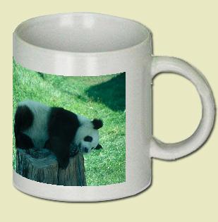 Giant Panda Coffee Mug