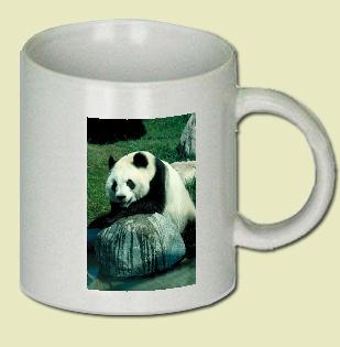 Giant Panda Coffee Mug