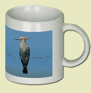 Hoopoe Coffee Mug