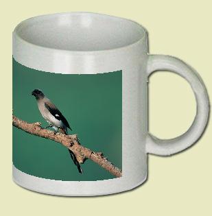 Jay Coffee Mug