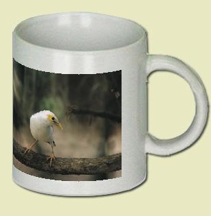 Myna Coffee Mug