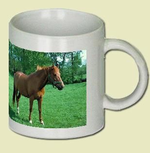 Quarterhorse Coffee Mug