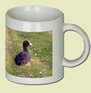 Coot Coffee Mug