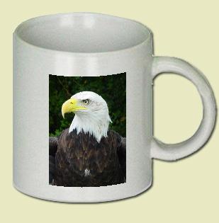 Bald Eagle Coffee Mug