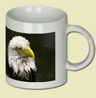 Bald Eagle Coffee Mug