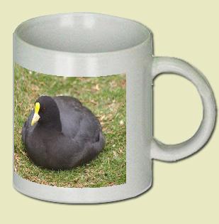 Commn Coot Coffee Mug