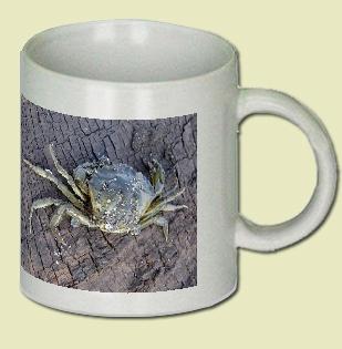 Crab Coffee Mug