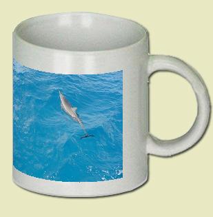 Dolphin Coffee Mug