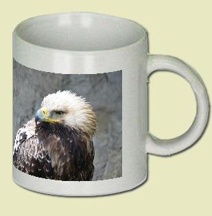 Eastern Imperial Eagle Coffee Mug