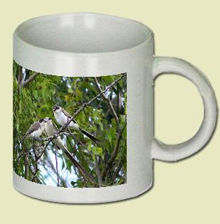 Fork-tailed Flycatcher Coffee Mug