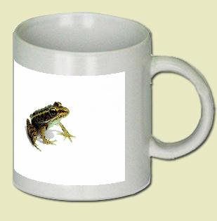 Frog Coffee Mug