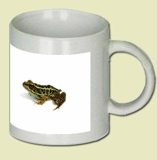 Frog Coffee Mug