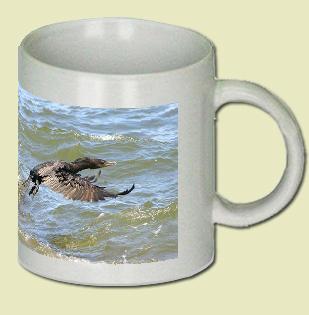 Neotropic Cormorant Coffee Mug