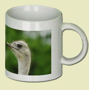 Ostrich Coffee Mug