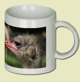 Ostrich Coffee Mug