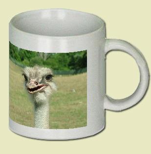 Ostrich Coffee Mug