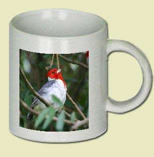 Red Crested Cardinal Coffee Mug