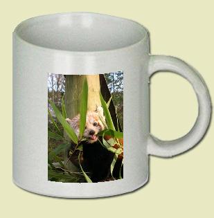 Red Panda Coffee Mug