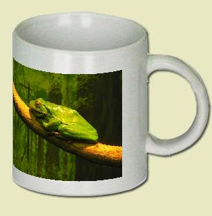 Red-eyed Tree Frog Coffee Mug