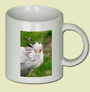 Secretarybird Coffee Mug