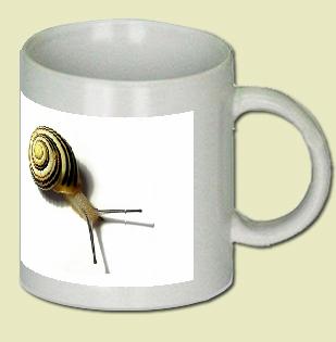 Snail Coffee Mug