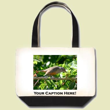 Rufous-bellied Thrush Tote Bag