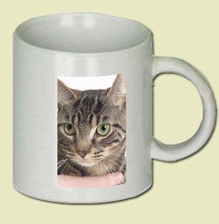 Cat Coffee Mug