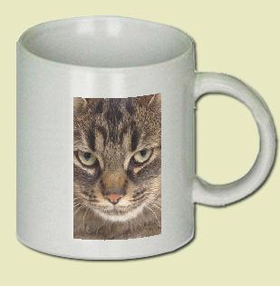 Cat Coffee Mug