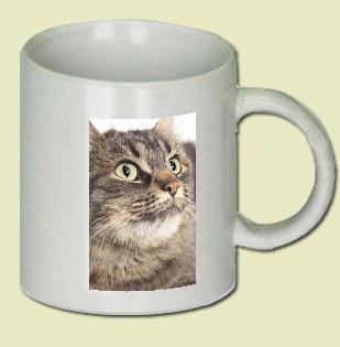 Cat Coffee Mug