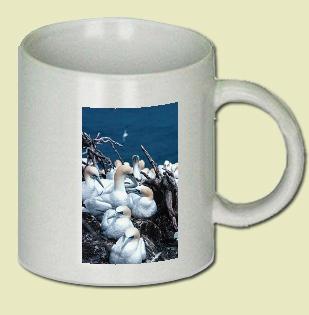 Gannet Coffee Mug