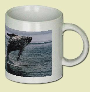 Whale Coffee Mug