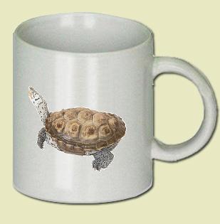 Turtle Coffee Mug