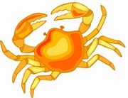 Crab Magnet