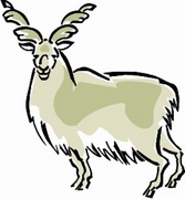 Markhor T-Shirt