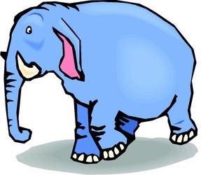 Elephant