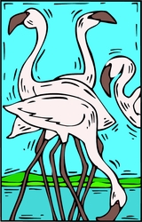 Flamingo