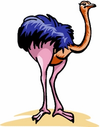 Ostrich