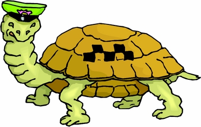 Turtle