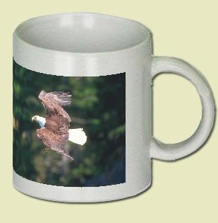 Bald Eagle Coffee Mug