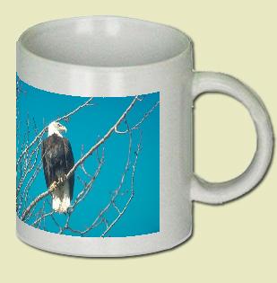 Bald Eagle Coffee Mug